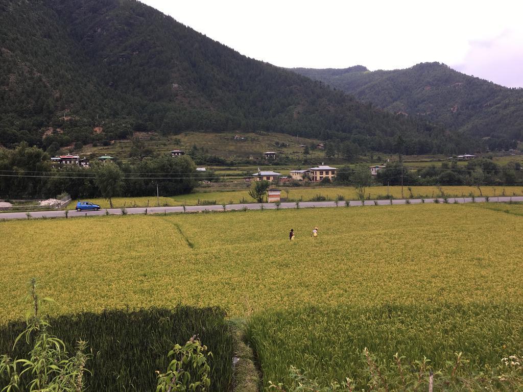 Ama'S Village Lodge Паро Екстериор снимка